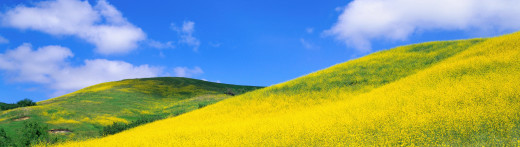 789399 (a): :3840x1080